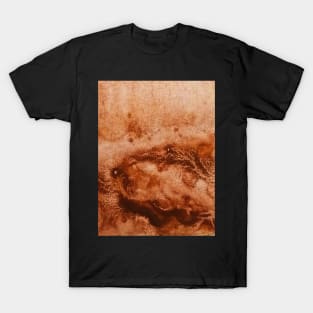 Brown watercolor gradient design T-Shirt